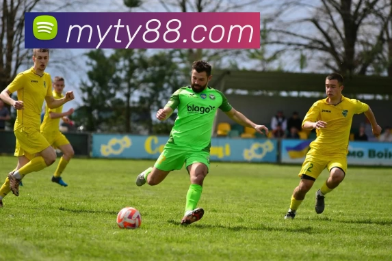 摩域体育官网平台生态图